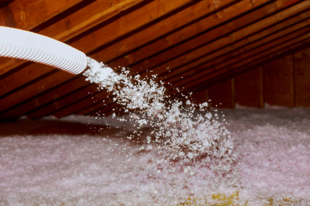 Best Spray Foam Insulation in Lake Alfred, FL