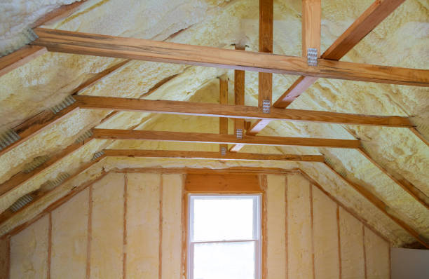 Best DIY Insulation Kits and Guidance in Lake Alfred, FL