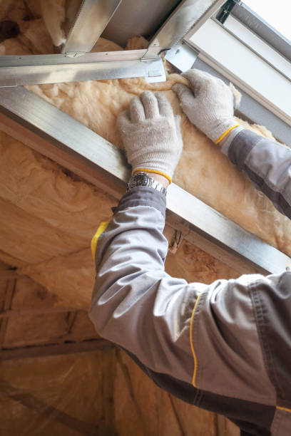 Best Eco-Friendly Insulation in Lake Alfred, FL