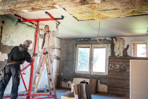 Best Specialized Insulation Services in Lake Alfred, FL
