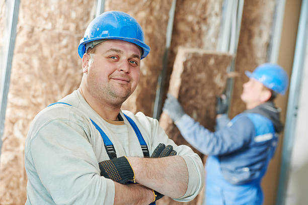 Best Geographic-Specific Insulation Services in Lake Alfred, FL